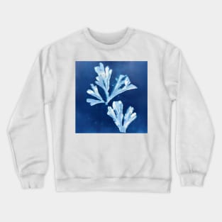 Seaweed Crewneck Sweatshirt